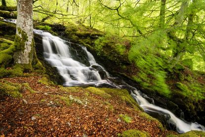 Things To Do In Aberfeldy